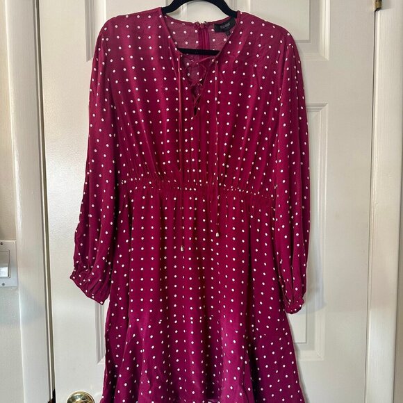 Raspberry & White Polka Dot Dress (US Size 6), NWT - Picture 4 of 4